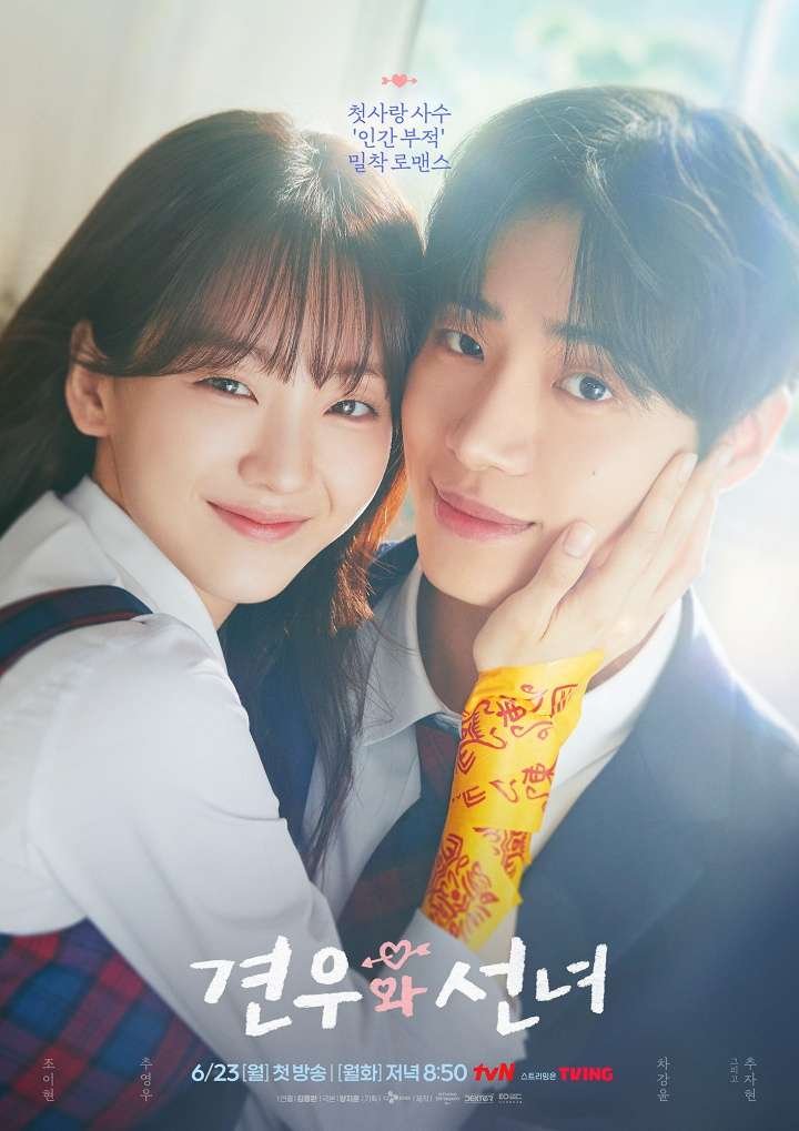 Head over Heels KDrama 2025 Hindi Season 1 Complete Watch Online HD Print Free Download