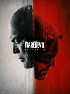 Daredevil Born Again Season 1 All Episodes Free Download
