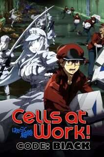 Cells at Work CODE BLACK Season 1
